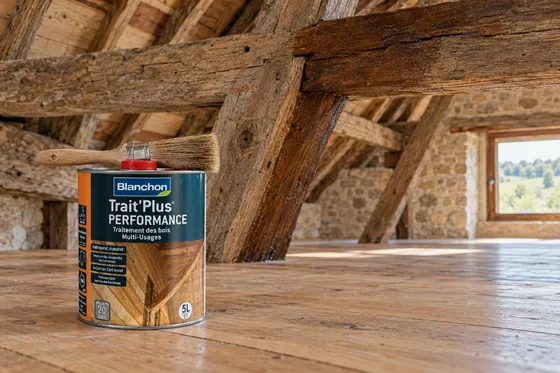 Trait-plus performance 5L — mise en situation
